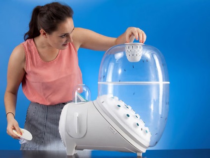 Cel mai cunoscut hrana artificială (cunoscută hrană artificială) Cel mai cunoscut-hrana artificială