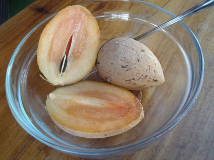 Sapodilla - gustoase fructe tropicale (tropicale) Sapodilla - fructe tropicale gustoase