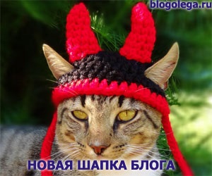 Capac Blog (blog) blogul capac