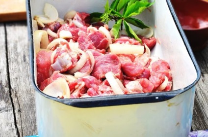Frigarui de rețete marinate gât de porc cu fotografii, calorica (marinata kebab pentru ceafa de porc) Frigarui de porc marinate gât rețete cu fotografii, calorii