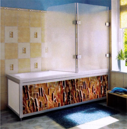 Ecranul pentru baie (35 poze) camere idei originale pentru realizarea propriilor mâini (lor) Screen pentru baie (35 poze) camere idei originale pentru realizarea propriilor lor mâini