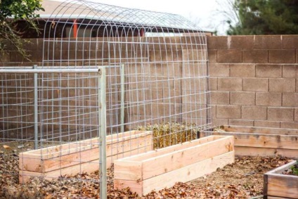 Trellis pentru castraveți - un cost eficient și simplu metodă eficientă de creștere (tapiserie) Leasă pentru castraveți - un mod eficient, rentabil și simplu mod de cultivare