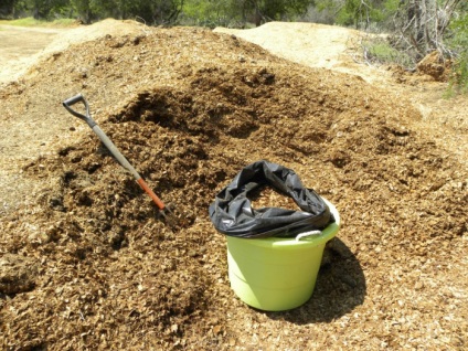 Trellis pentru castraveți - un cost eficient și simplu metodă eficientă de creștere (proces) Leasă pentru castraveți - un mod eficient, rentabil și simplu mod de cultivare