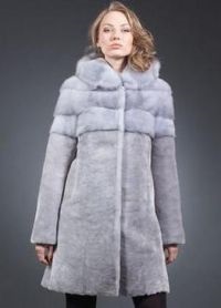 Coat de miel castor (strat) Coat de miel castor