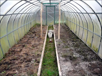 îngrășăminte verzi în seră în toamna și însămânțarea de primăvară și planta, care este cel mai bun din policarbonat și însămânțarea (glasshouse) îngrășăminte verzi în seră în toamna și însămânțarea de primăvară și planta, care este cel mai bun din policarbonat și însămânțarea