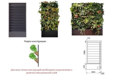 letostudiya sistem de plantare vertical (sistem) Sistem de plantare vertical letostudiya