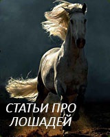 Sleipnir - opt picioare calul lui Odin (unul) Sleipnir - opt picioare calul lui Odin