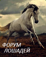 Sleipnir - opt picioare calul lui Odin (unul) Sleipnir - opt picioare calul lui Odin