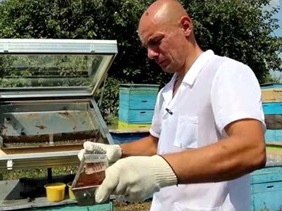 extractoare solare cu desen mâinile lor (mână) extractoare solare cu desenul lor mâini