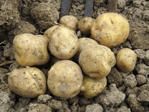 Interpretare vis fura lucruri de bani într-un vis ce vise (furt) Interpretare vis fura lucruri de bani într-un vis ce este un vis