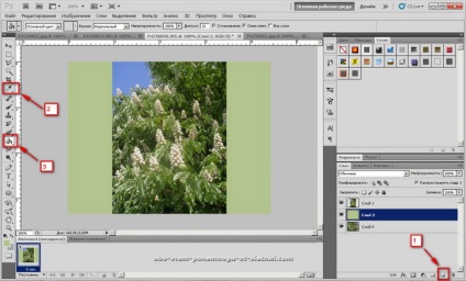Crearea unei imagini gif din mai multe fotografii (tutorial Photoshop) Crearea unei imagini gif din mai multe fotografii