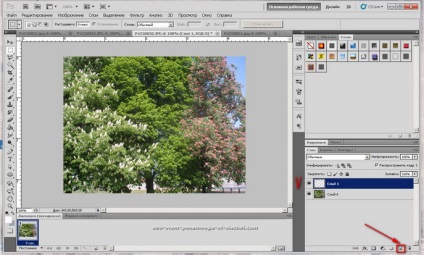Crearea unei imagini gif din mai multe fotografii (poze) Crearea unei imagini gif din mai multe fotografii