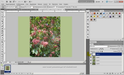 Crearea unei imagini gif din mai multe fotografii (creație) Crearea unei imagini gif din mai multe fotografii