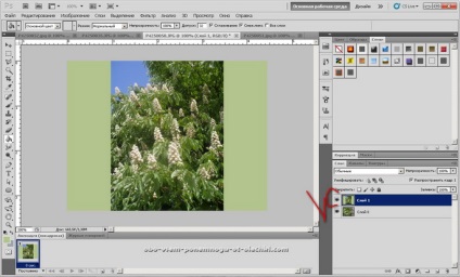 Crearea unei imagini gif din mai multe fotografii (crearea de imagini GIF) Crearea unei imagini gif din mai multe fotografii