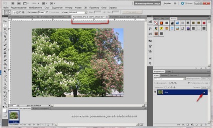 Crearea unei imagini gif din mai multe fotografii (creație) Crearea unei imagini gif din mai multe fotografii