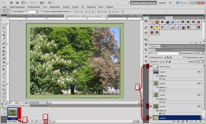 Crearea unei imagini gif din mai multe imagini (fotografii) Crearea unei imagini gif din mai multe fotografii