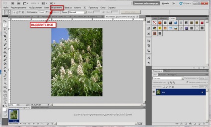 Crearea unei imagini gif din mai multe fotografii (mai mult) Crearea unei imagini gif din mai multe fotografii