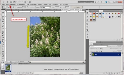 Crearea unei imagini gif din mai multe fotografii (creație) Crearea unei imagini gif din mai multe fotografii