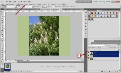 Crearea unei imagini gif din mai multe fotografii (tutorial Photoshop) Crearea unei imagini gif din mai multe fotografii