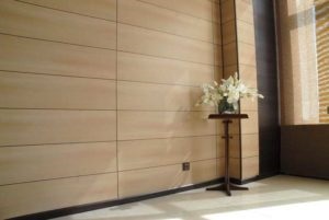 Panouri de perete pentru reparații în apartament (perete) Panouri de perete pentru reparații în apartament
