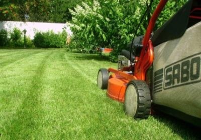 Lawn cosit (cosit) tunderea gazonului