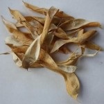 Supape diabet de fasole (fasole) frunze de fasole în diabetul zaharat