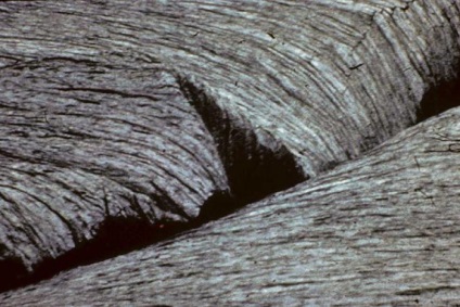 Subducțiune - este 1 (subductie) Subducțiune - 1