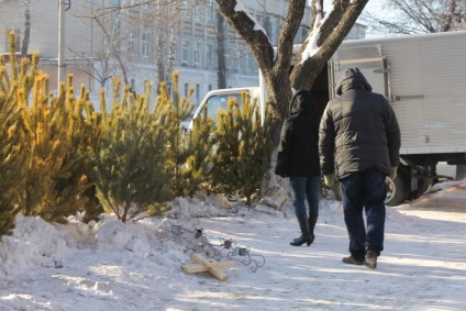 Acum, ea, bine îmbrăcat ...“, sau ca am fost de vânzare pomi de Crăciun - Munca - Stiri din Blagoveshchensk, Amur (testat pe sine) Acum, ea, bine îmbrăcat ...“, sau ca am fost de vânzare pomi de Crăciun - Munca - Stiri din Blagoveshchensk, Amur