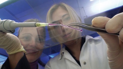 inginerie tisulară (imagine de celule umane) Tissue Engineering