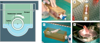 inginerie tisulară (tomografie computerizata) Tissue Engineering