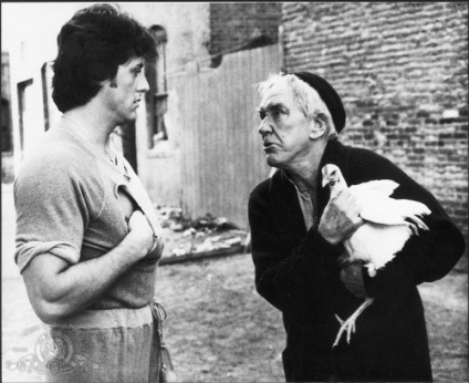 Top 10 lucruri despre Sylvester Stallone, care s-ar putea să nu știți (de viață) Top 10 lucruri despre Sylvester Stallone, care s-ar putea să nu știi