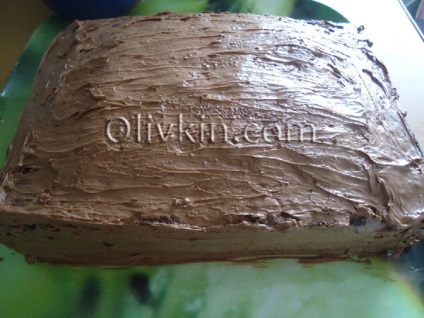 Tort sac de bani de mastic (bani) Tort sac de bani de mastic