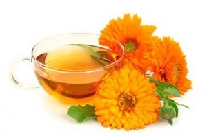 Ierburi pentru miomul uterin (iarbă) Plante medicinale pentru fibrom uterin