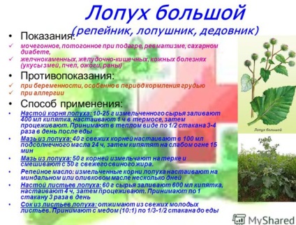 guta din plante (acid uric ca ieșire din corp) gută pe bază de plante