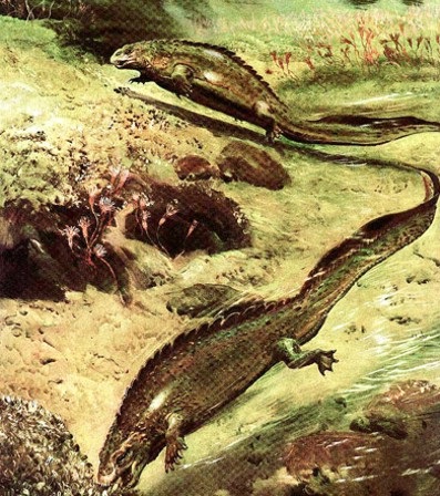Perioada Triassicului perioadă Triassicului Triassicului dinozauri perioada Triassicului, soparle triasice (dinozauri) Perioada de triasic Triasic Triasic, dinozauri perioada de Triassicului șopârle triasice