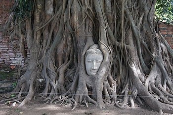 Informații turistice despre Thailanda generale, vreme, anotimpuri, timp, vacanțe (Tailanda) Informații turistice despre Thailanda generale, vreme, anotimpuri, timp, vacanțe