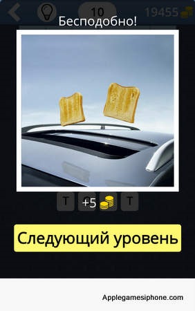 Ghici ce fel de celule! Răspunsuri, applegamesiphone (celulă) Ghici ce fel de celule! Răspunsuri, applegamesiphone