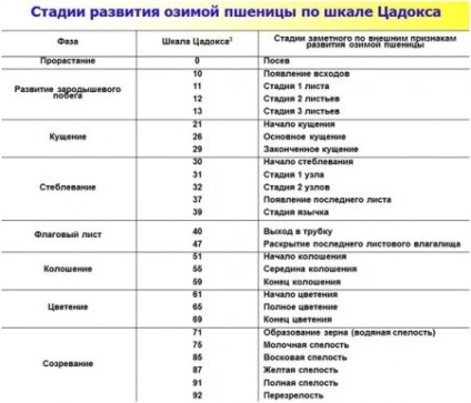 Manage cultură (cultură) Noi gestionăm recolta