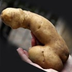 Grija pentru păr masca de slăbit de casă și sfaturi (păr) Grija pentru păr masca și sfaturi de casă slăbit