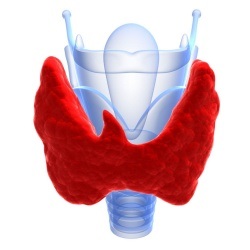 Ecografie Doppler a glandei tiroide, ecografie Doppler cu tiroida