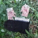În Abhazia a ucis un turist din România, iar femeile și copiii răpiți, du-te la Abkhazia! Mergem la Abhazia! (Femei) În Abhazia a ucis un turist din România, iar femeile și copiii răpiți, du-te la Abkhazia! Mergem la Abhazia!