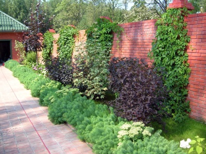 Opțiuni de grădinărit verticale cu mâinile lor, dacha mea (grădinărit verticală cu mâinile lor) Opțiuni de grădinărit verticale cu mâinile lor, cabana mea