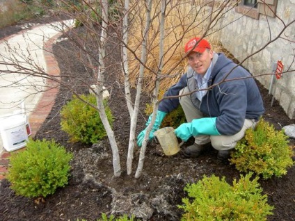 Tratamentul Spring Garden bolilor și dăunătorilor (grădină) Tratamentul Spring Garden împotriva bolilor și dăunătorilor