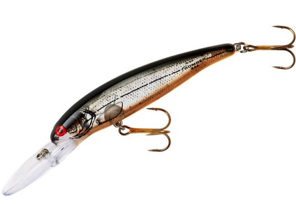 Momeli pentru trolling pentru știucă - cele mai bune wobblers catchability (trolling) Momeli pentru trolling pentru știucă - cele mai bune wobblers catchability