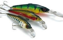 Momeli pentru trolling pentru știucă - cele mai bune wobblers catchability (cel mai bun) Momeli pentru trolling pentru știucă - cele mai bune wobblers catchability