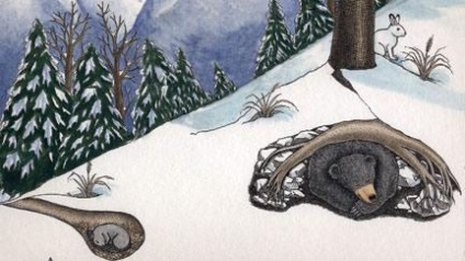Este Mole în hibernare iarna care conduce nu intră în hibernare (hibernare) Este Mole în hibernare iarna care conduce nu hibernează