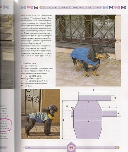 De tricotat pentru câini cu propriile lor mâini ( „Spit“ Schema de tricotat pături) De tricotat pentru câini cu propriile lor mâini