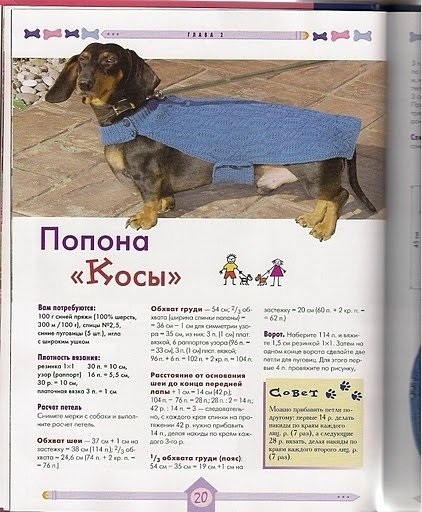 De tricotat pentru câini cu propriile lor mâini ( „Spit“ Schema de tricotat) De tricotat pentru câini cu propriile lor mâini
