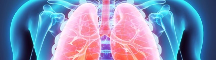 Boli ale tipurilor sistemului respirator și caracteristici (sistem) Boli ale sistemului respirator tipurile și caracteristicile