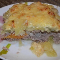 Caserola cu carne - (mai mult de 53 de rețete) cu fotografia de pe (carne) Caserola cu carne - (mai mult de 53 de rețete) cu fotografia de pe